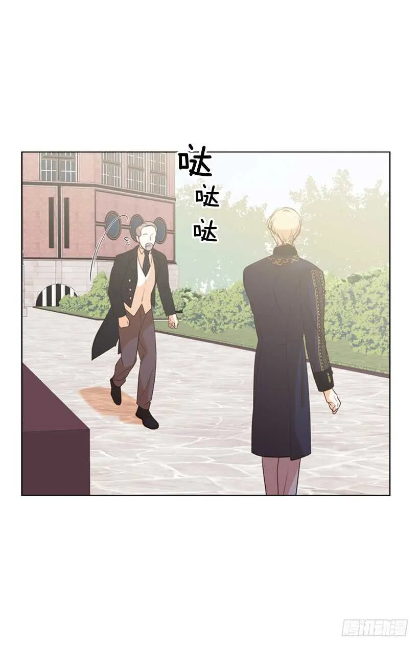 30.赌上性命 第37页
