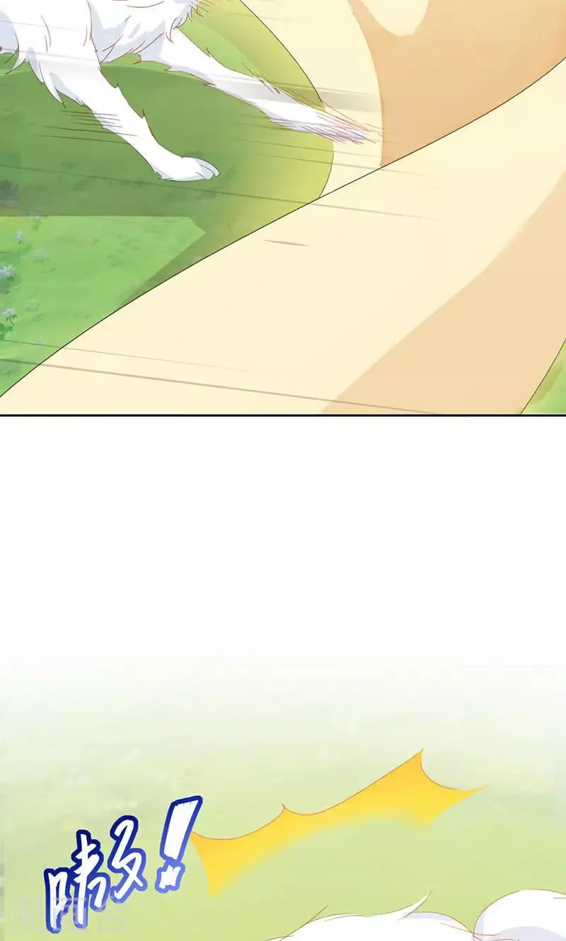 第34话 第33页