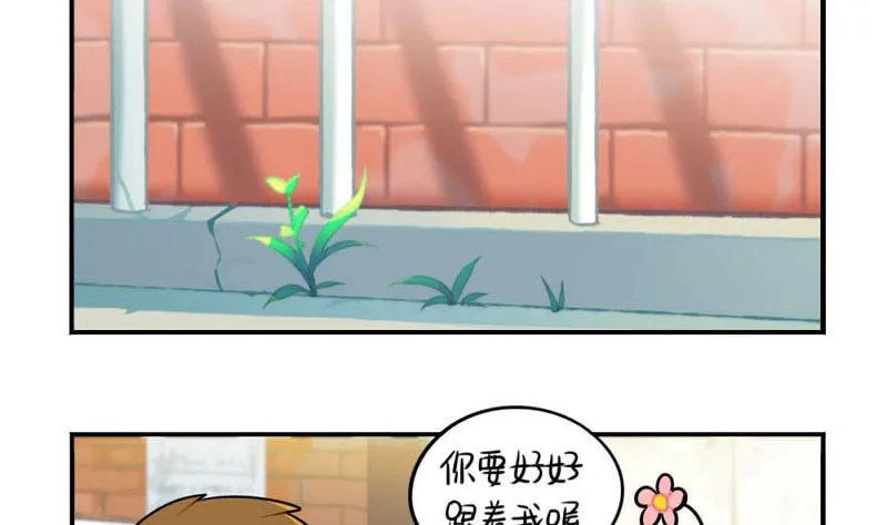 四周年 第22页