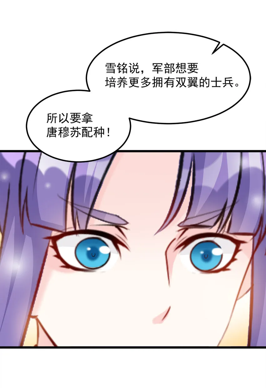 117 第15页