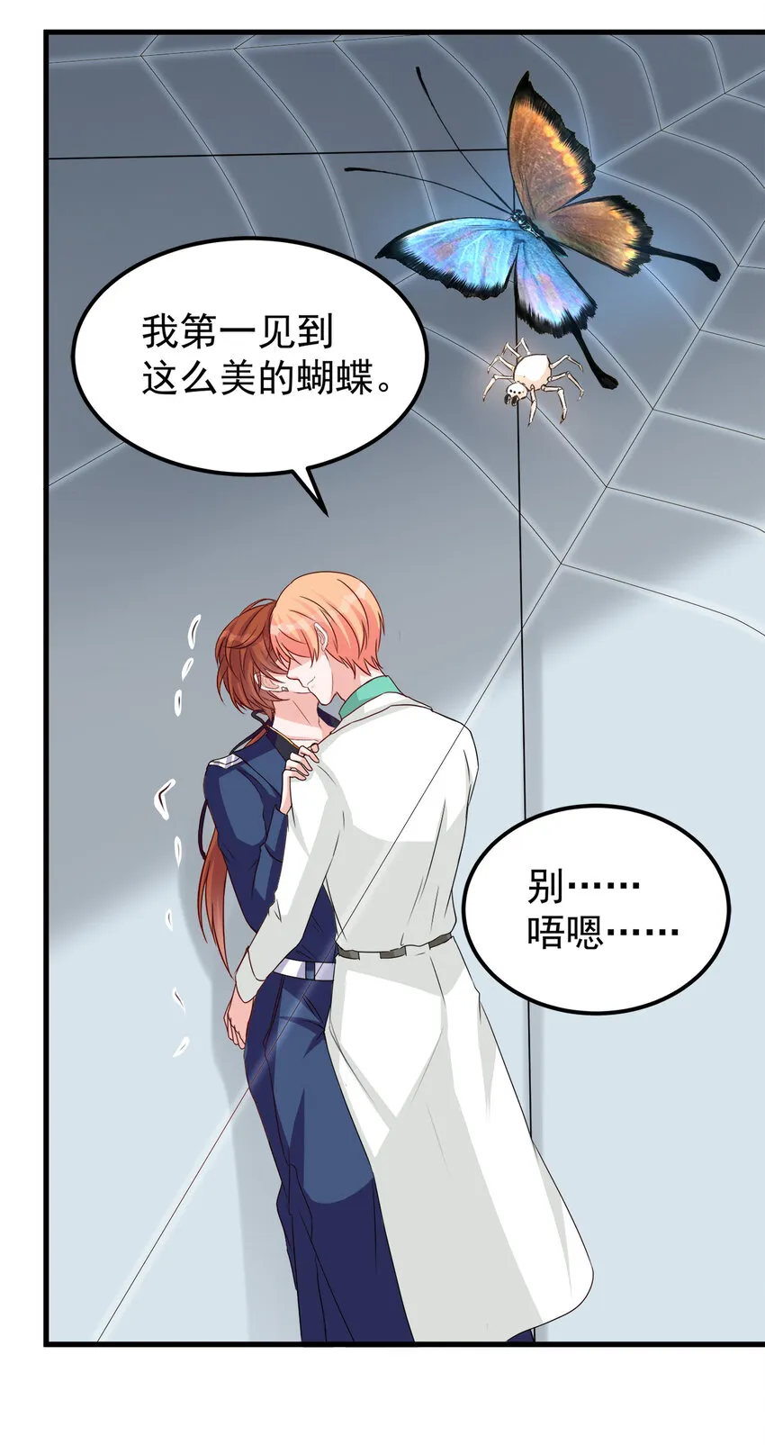 114 第17页