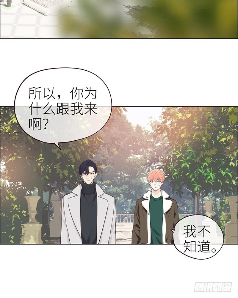 第46话：一起解决 第16页