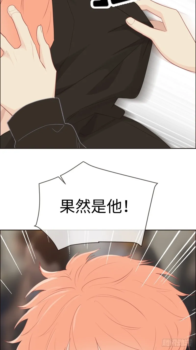 第116话：你终于回来了 第13页