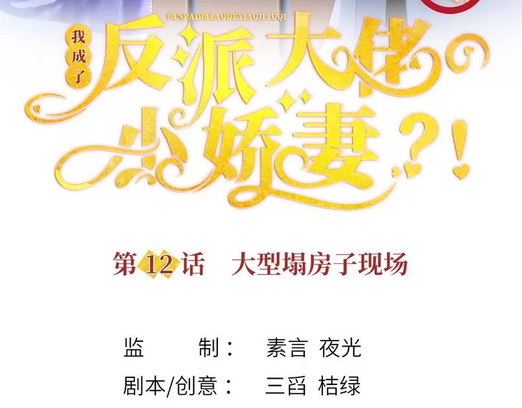 12.大型塌房子现场 第3页