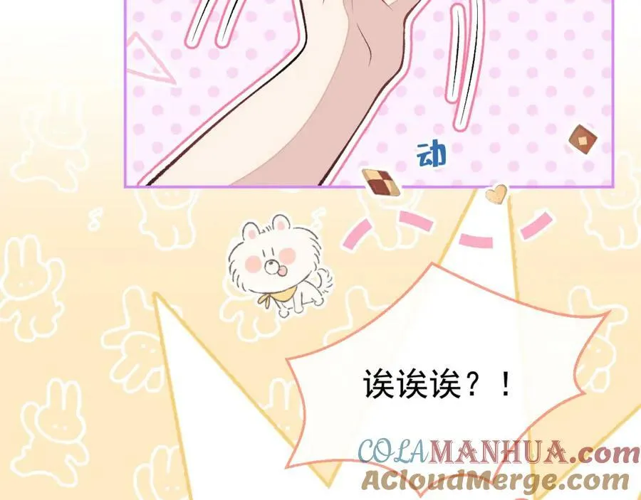 养娃篇02 蛋怎么破了？ 第41页