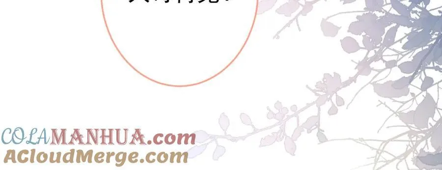 养娃篇14 找到领养机构了？ 第13页