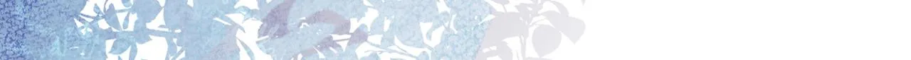 第85话 你藏了个男人？！ 第61页