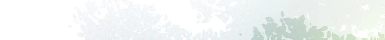 第148话 顾亦铭，我认定你了 第47页
