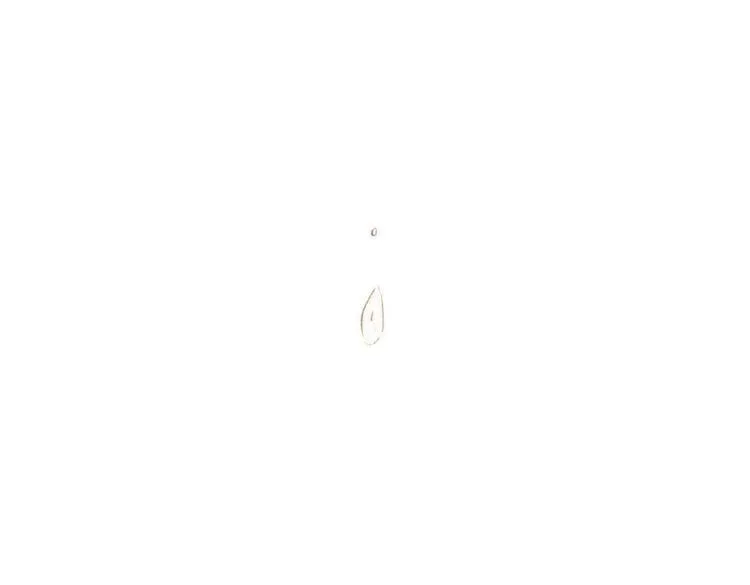 第34话 时贤的日记本 第49页