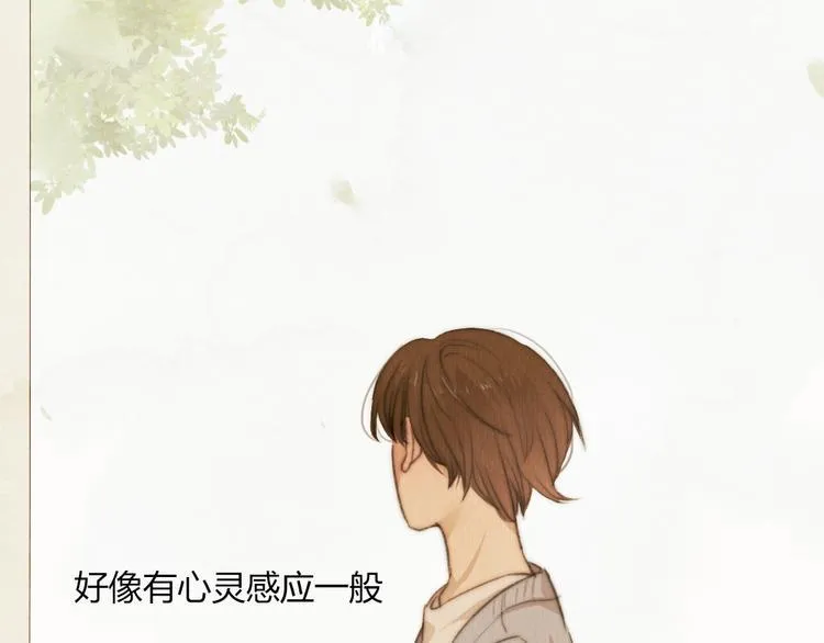 第33话 重新见到你，竟不知该从何开始 第43页