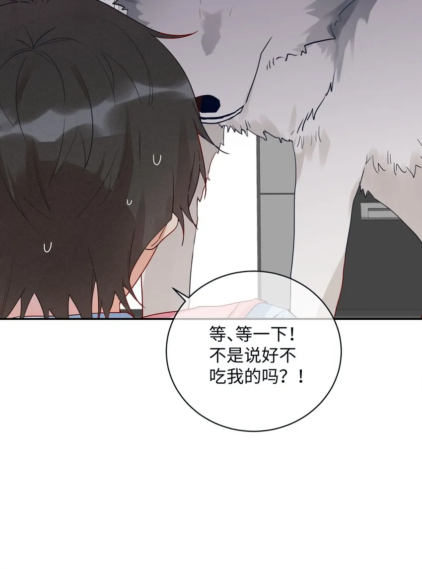 番外 狼的心愿 第31页