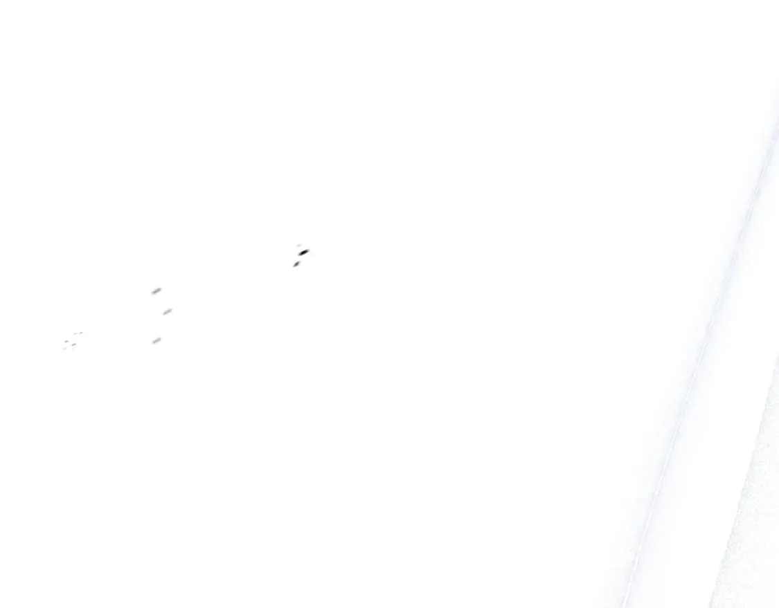 第二季完结话 第211页
