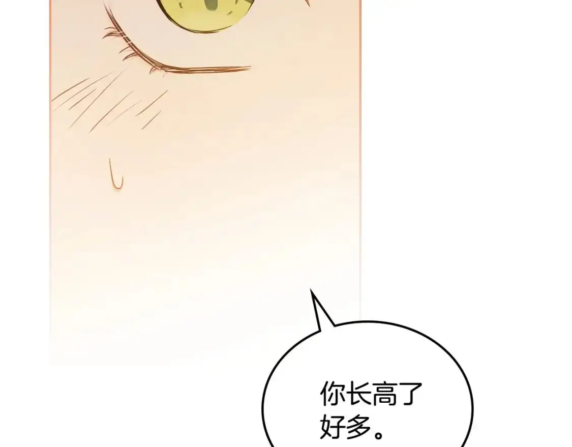 第126话 你是哪位？ 第239页