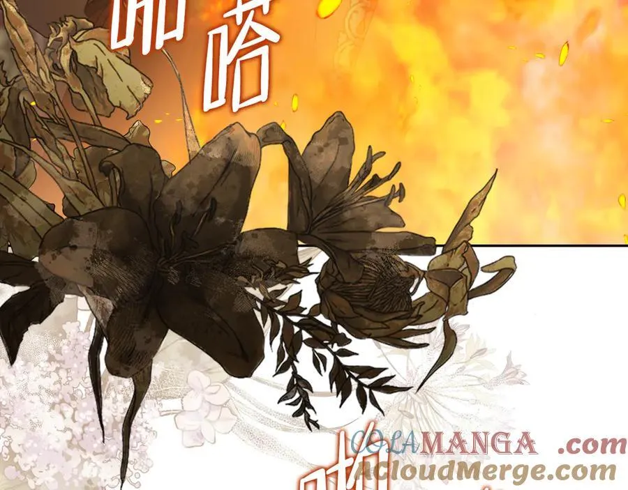 第170话 公主抱 第265页