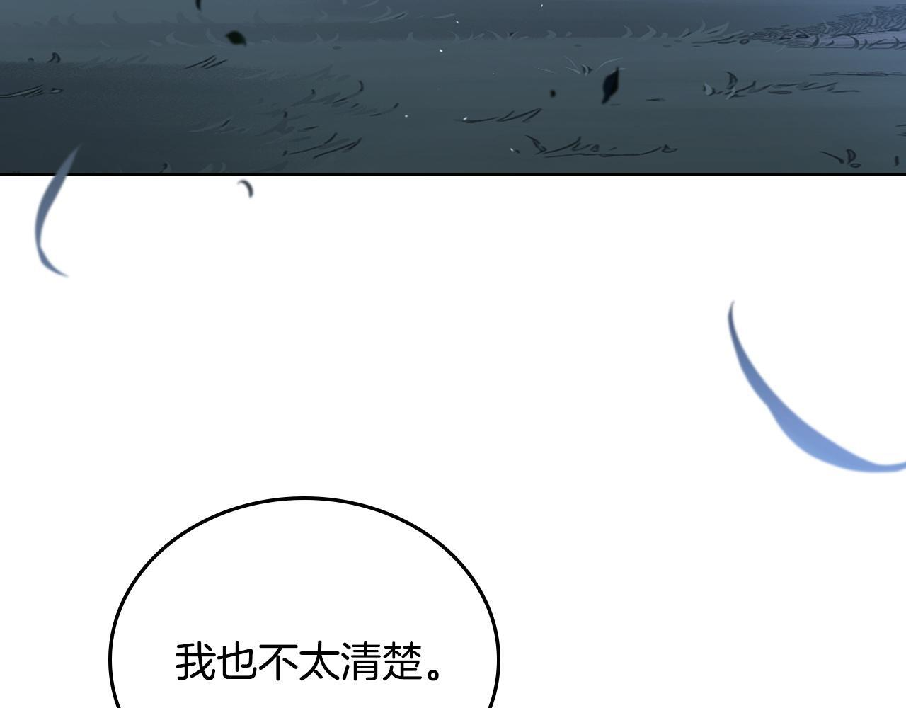 第196话 大会开始 第219页