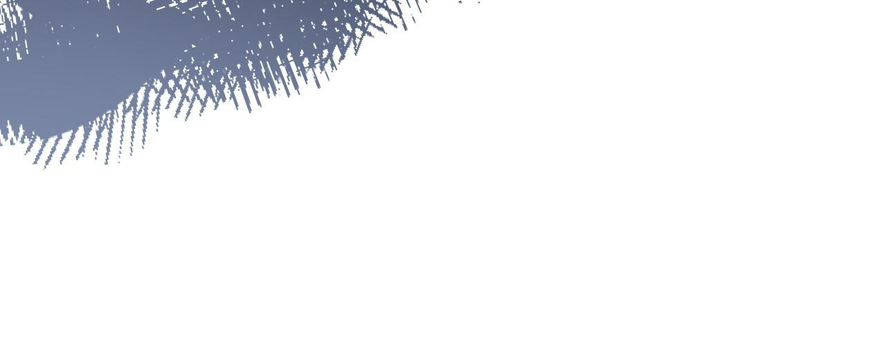 第199话 杀了他 第11页