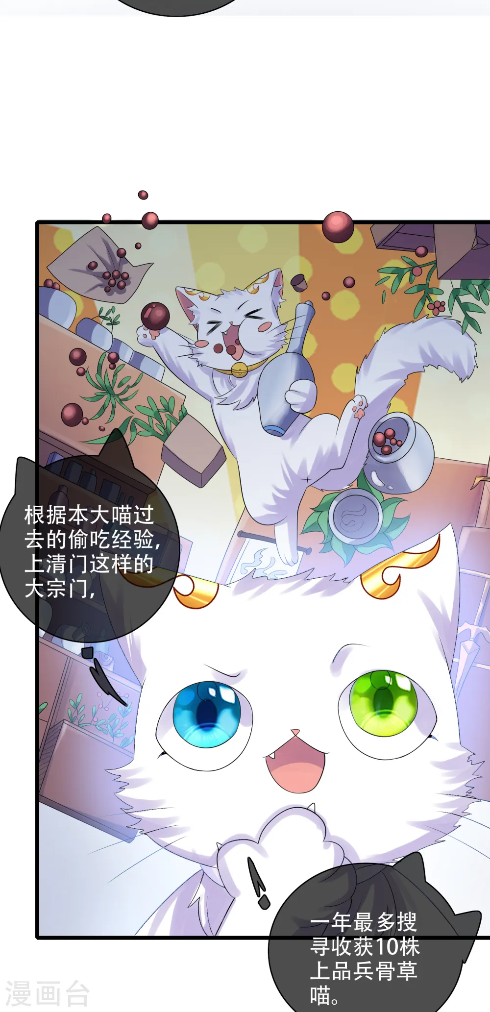 第98话 跟我赌？宁配么？ 第12页
