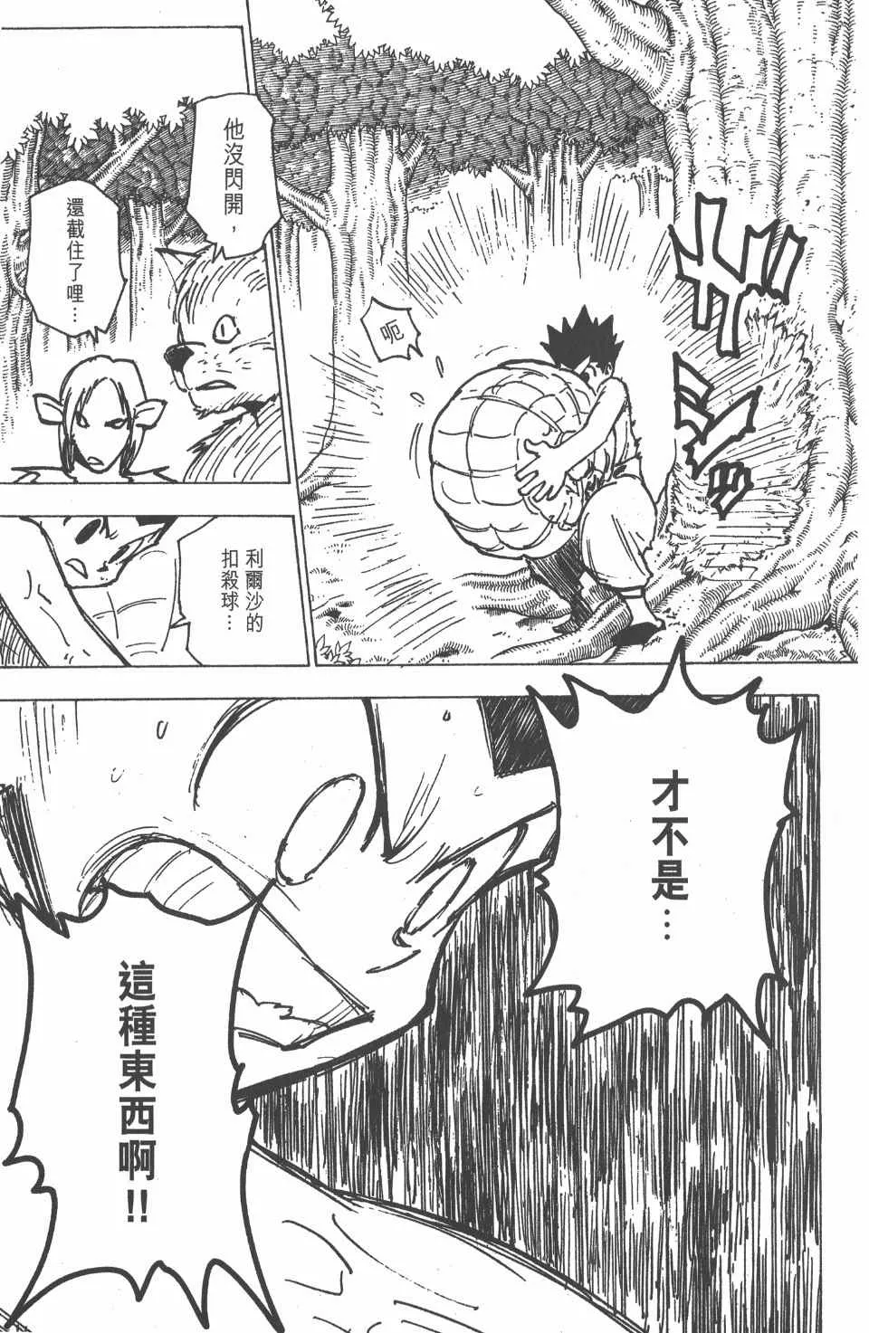 第19卷 第133页
