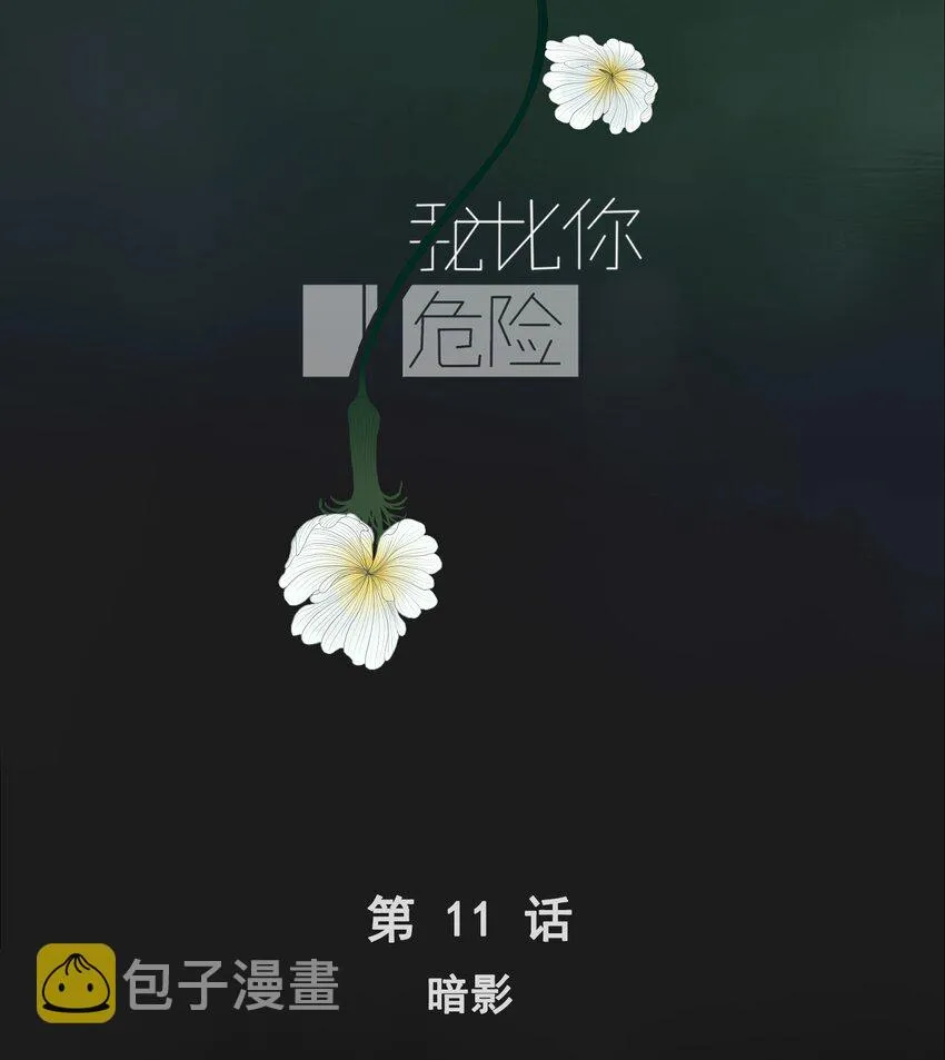 011 暗影 第2页