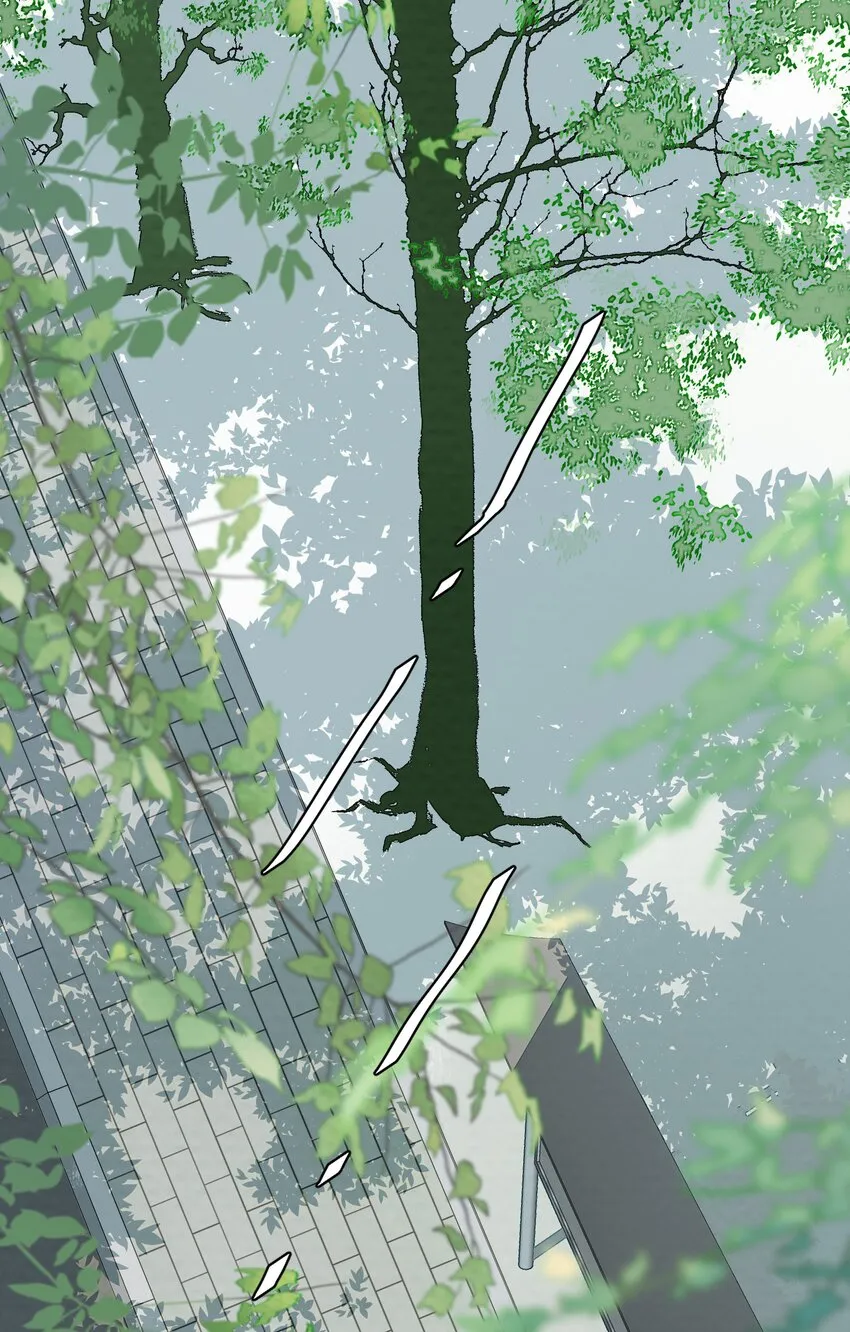 024 白与黑 第2页