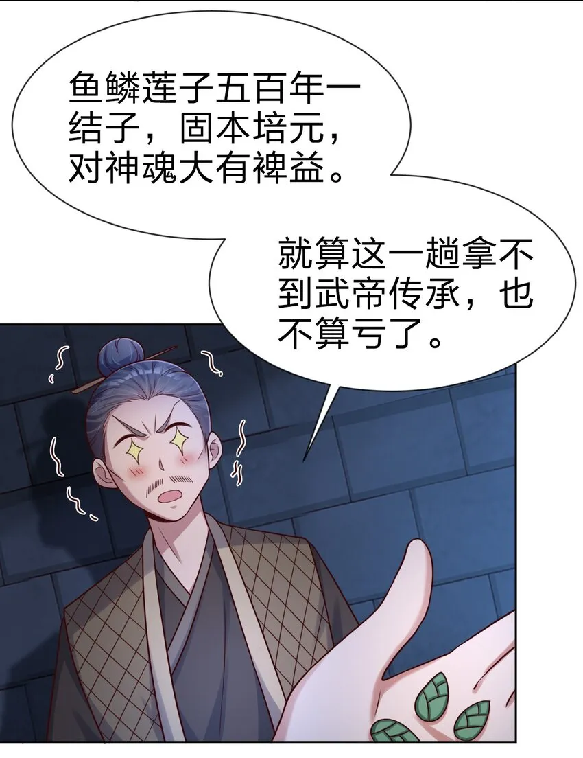 102 鱼鳞莲子 第43页