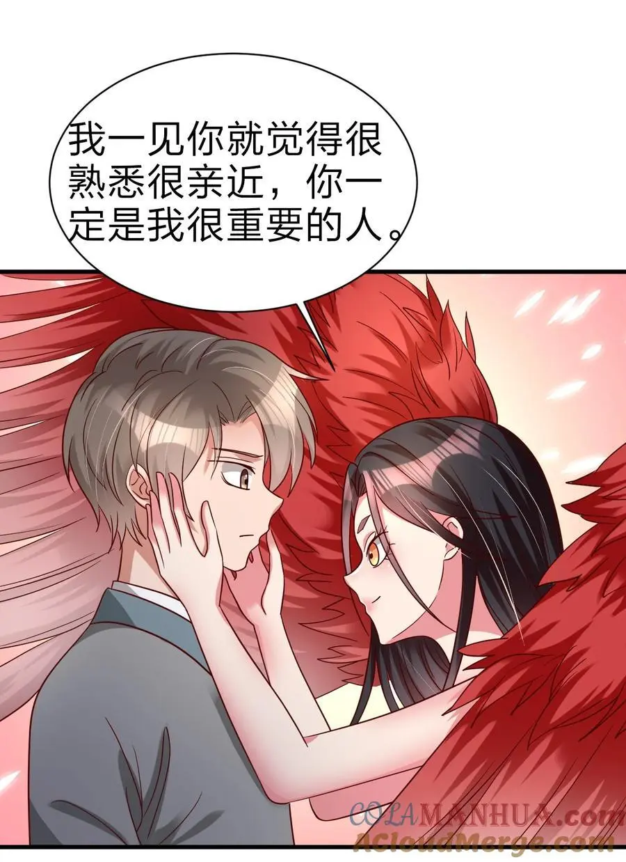 164 朱雀神君陵光？ 第34页