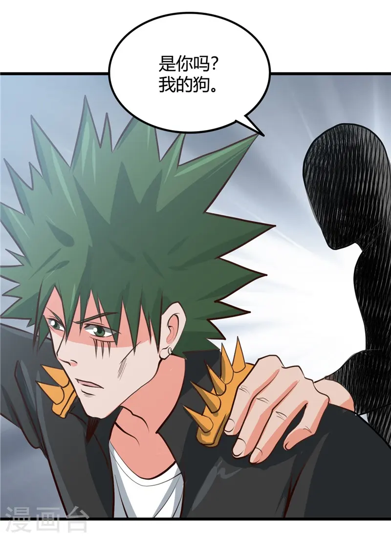 第341话 追寻爱犬的疯子 第19页