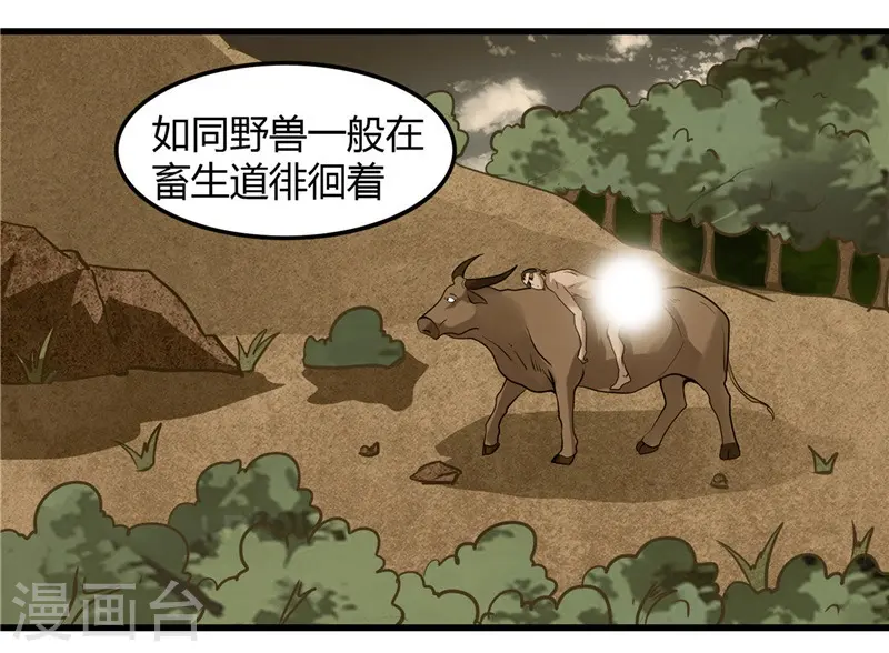 第317话 三战士 第12页