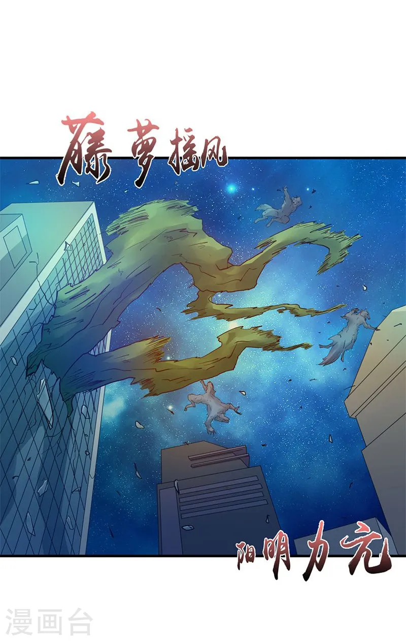 第213话 绝佳的帮手 第12页