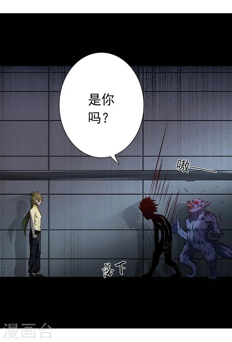 第214话 熟悉又陌生 第31页