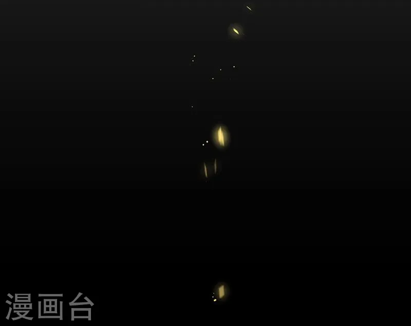 第117话 重要的人 第39页