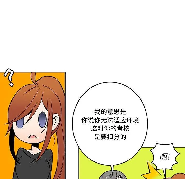 17 第38页