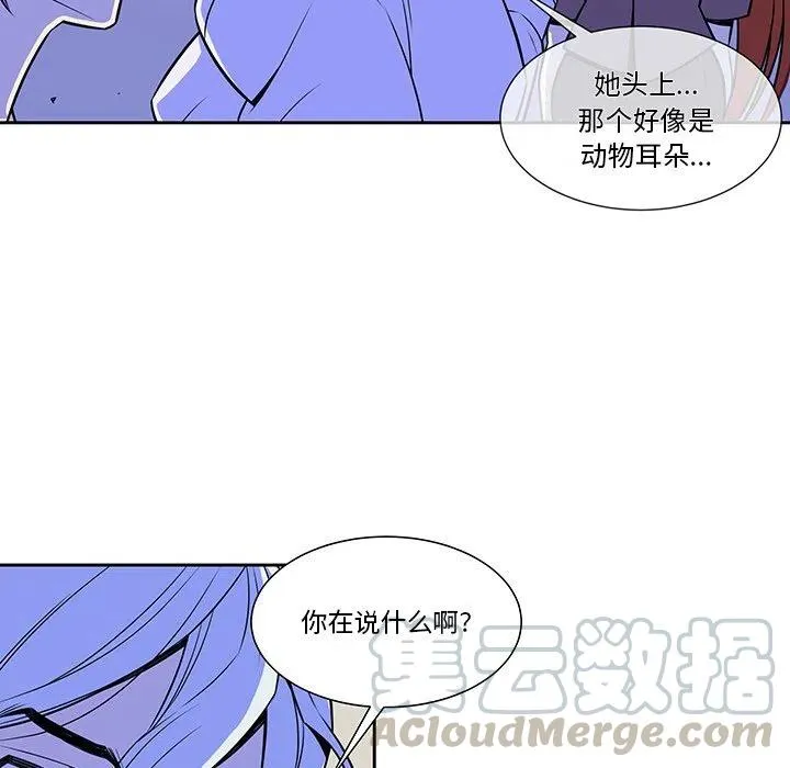 11 第19页