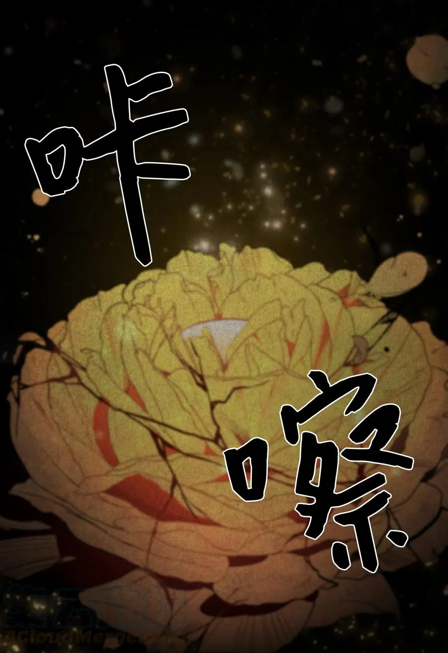 10 察看 第25页