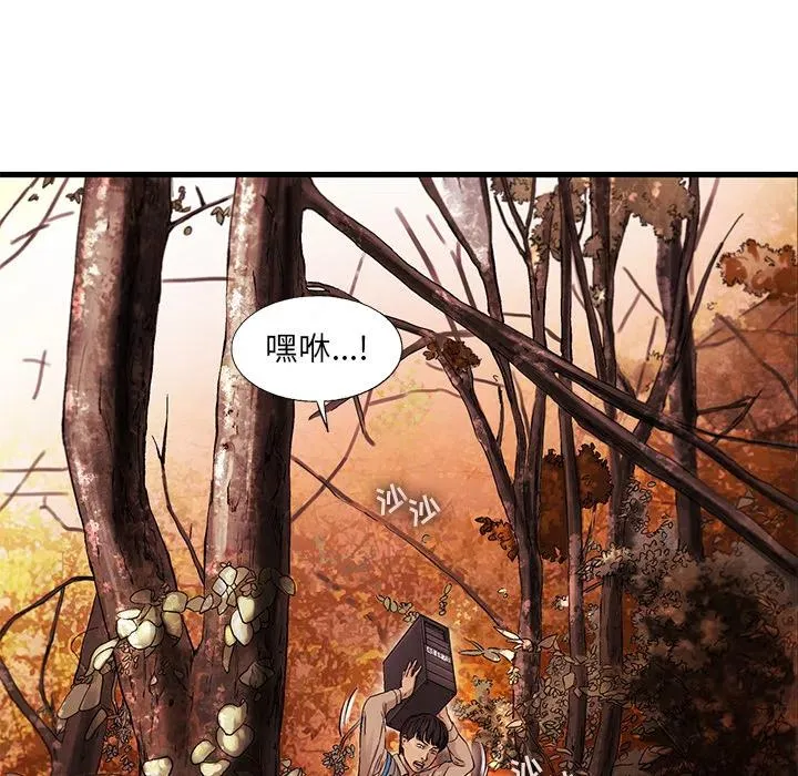 7 第41页