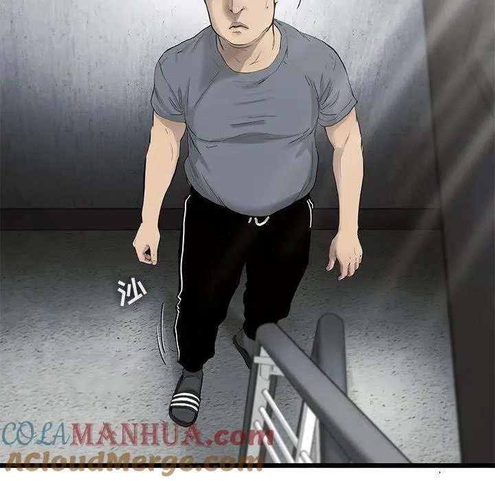 27 第61页