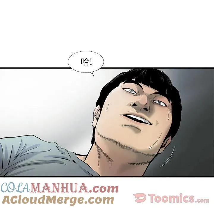 28 第31页