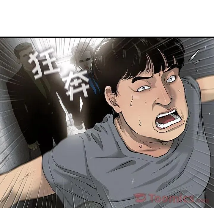28 第41页