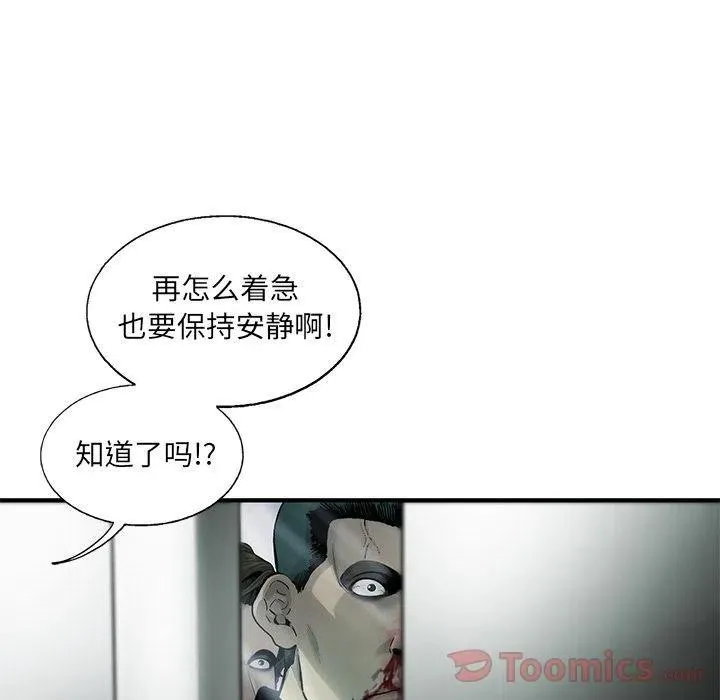 28 第56页