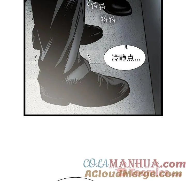 29 第41页