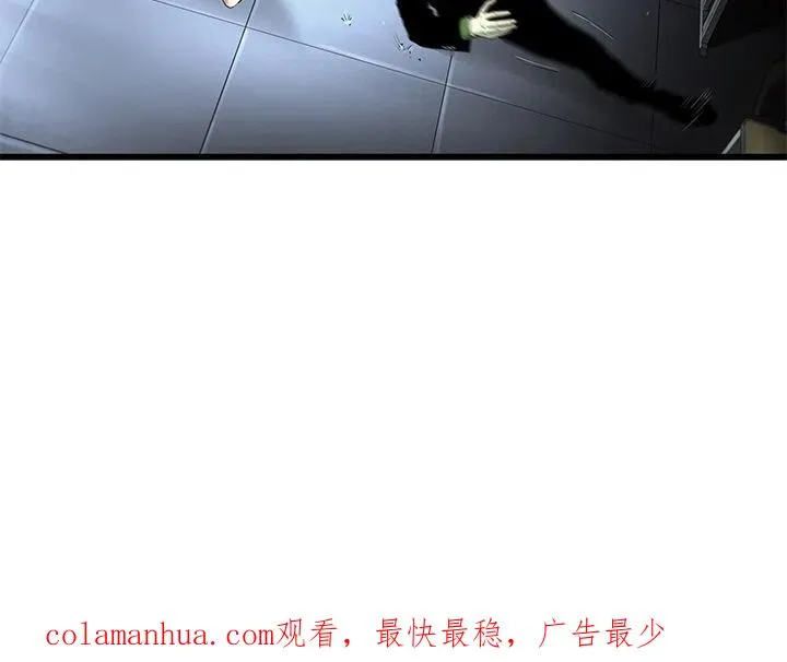 38 第81页