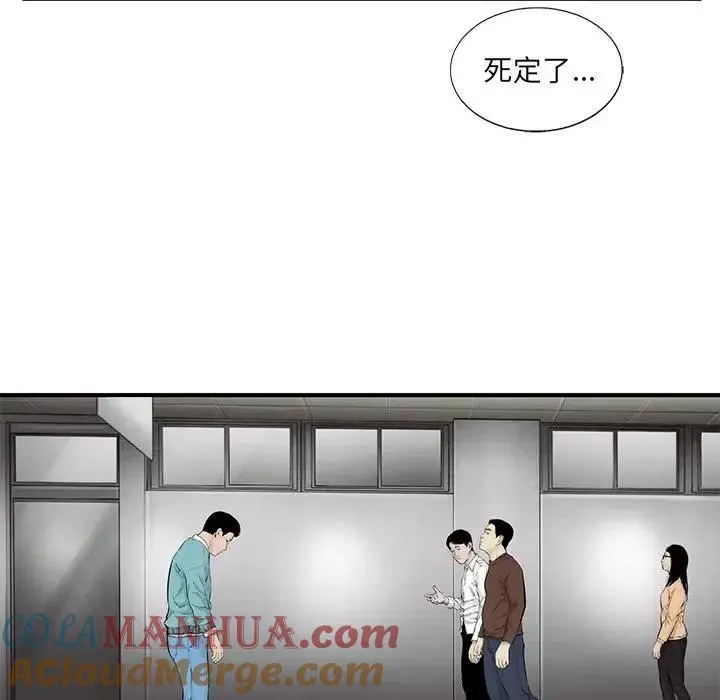 41 第13页