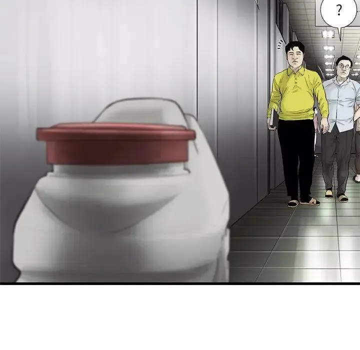 41 第17页