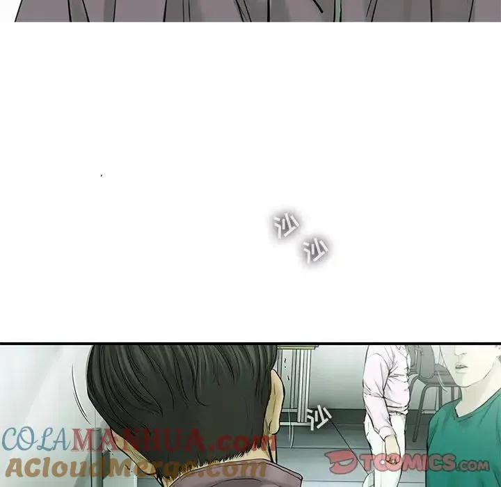 41 第34页