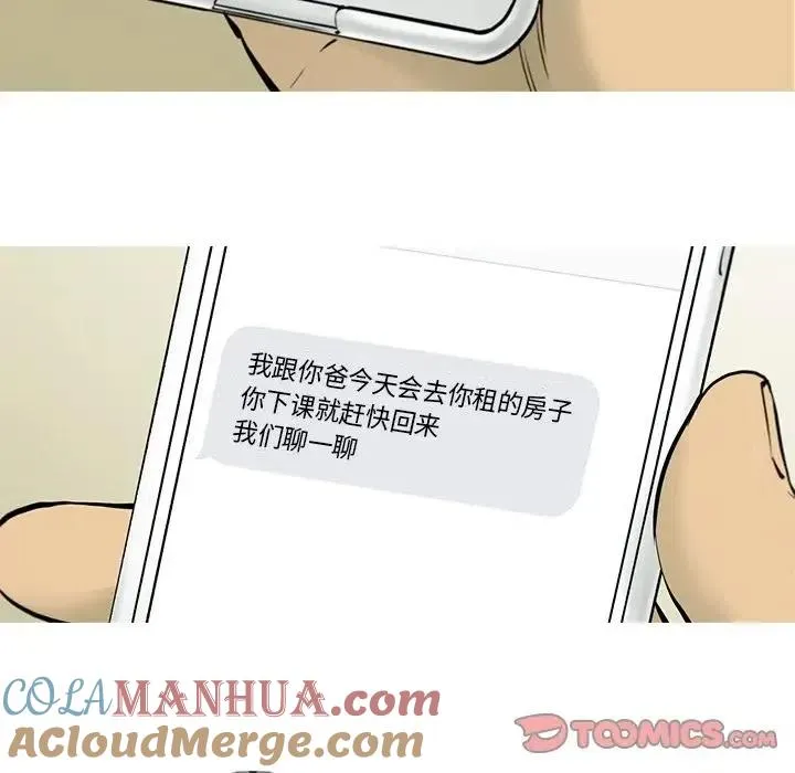 41 第40页