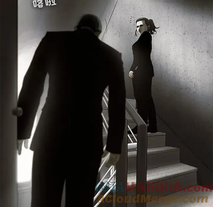 41 第61页