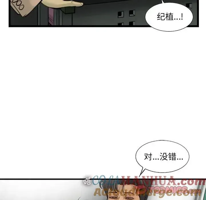 41 第76页