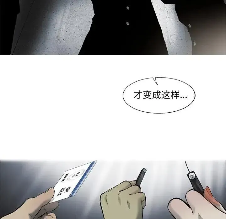 41 第81页
