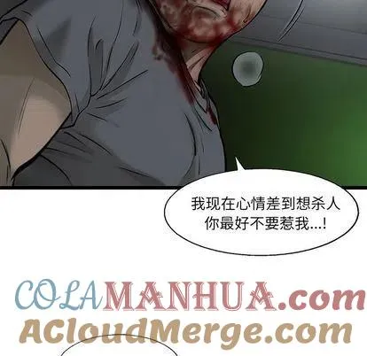 44 第25页