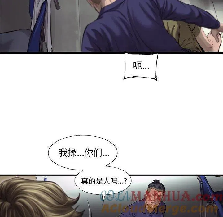 49 第43页